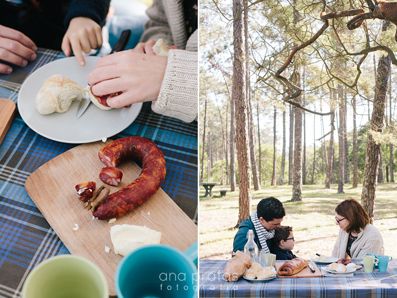 familia-picnic