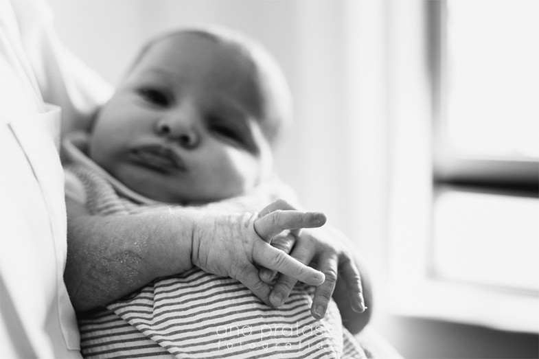 newborn hand detail